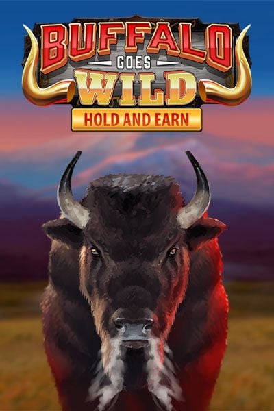 Buffalo Goes Wild